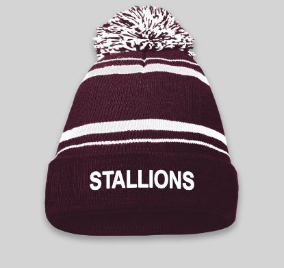 Picture of Stallions Embroidered PomPom Beanie