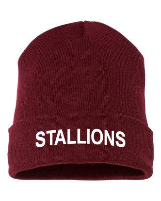 Picture of Stallions Embroidered Maroon Beanie