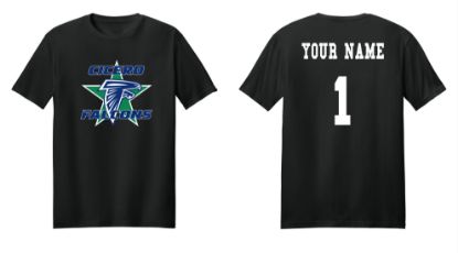 Picture of Personalized Falcons Softstyle T-shirt
