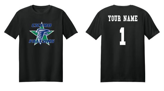 Picture of Personalized Falcons Softstyle T-shirt